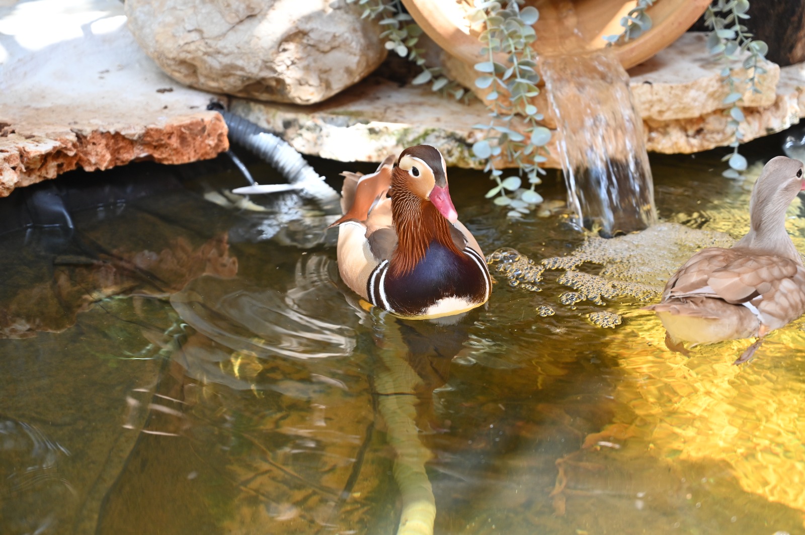 WhatsApp Image 2023-07-14 at 13.51.03.jpg